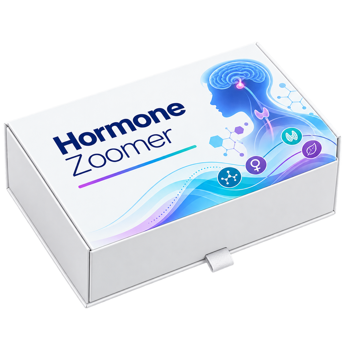 Hormone Zoomer