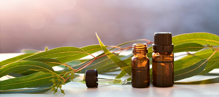 Two amber glass dropper bottles with black caps and a glass pipette, arranged with green eucalyptus leaves on a light surface against a soft blurred background.